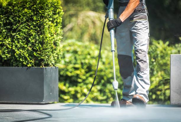 Best Patio and Deck Pressure Washing  in Baileyton, AL